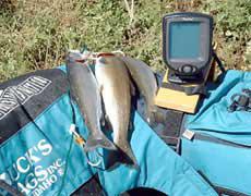 Эхолот для рыбалки: мифы и действительность