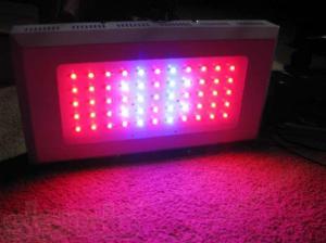 Правда о LED-светильниках?