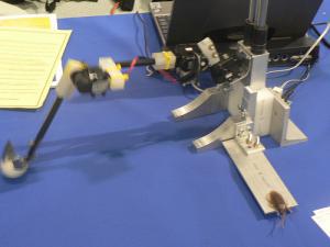 Два бесплатных приложения для iPhone и iPad помогут превратиться в монстра